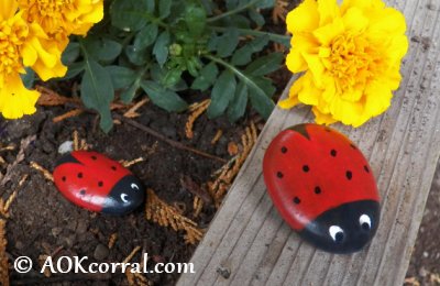 Ladybug Rocks