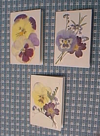 Pressed Flower Note Cards