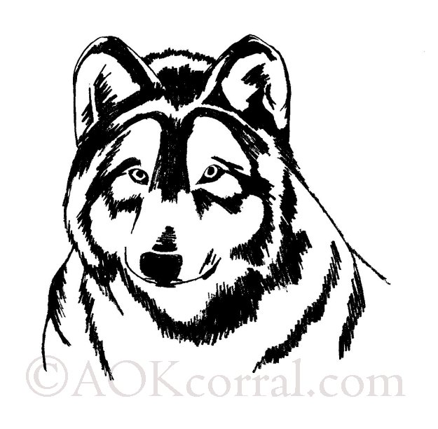 Wolf Patterns; Woodburning, Painting, Crafts